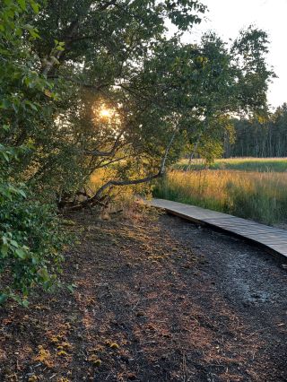 Místo odkud pocházím je plné minerálních pramenů, rašeliny, luk a lesů. V přírodě jsem plná života. Na fotkách je přírodní...
